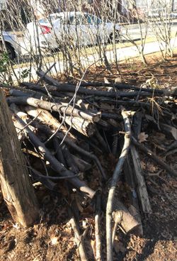 FREE. FIRE. WOOD. TWO. PILES. IN BAYSIDE 11361