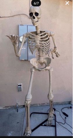 Life-Size Halloween Skeleton Decoration 6.5 FT