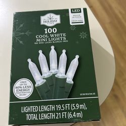 Cool White 100 Mini Luces Blanco Frio 
