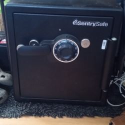 Sentrysafe