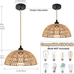 2 Pack Wicker Hanging Lamp