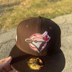Toronto Blue Jay Hat 