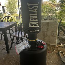 Everlast Punching Bag With Gloves 