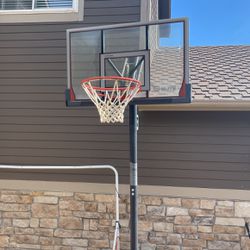 Lifetime Elite Adjustable Basketball Hoop