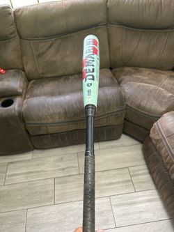 Bat