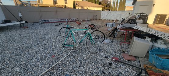 Ten Speed Bike. 42 Years Old