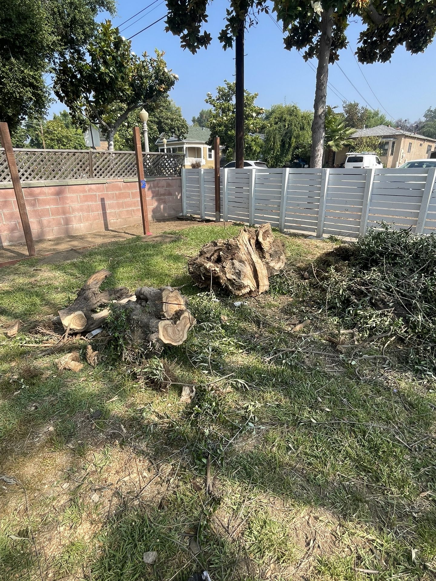 Free Firewood