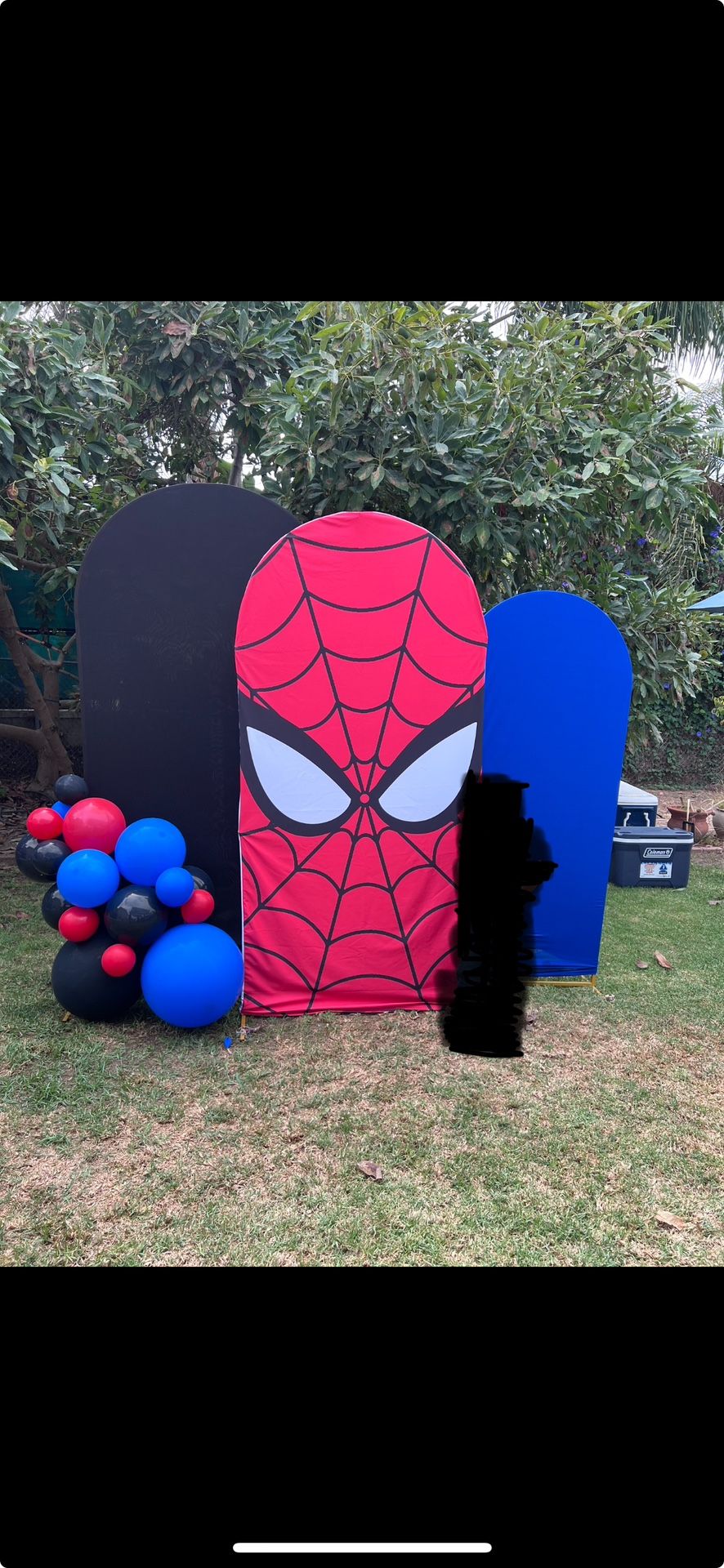 Spiderman Party Arch Covers (only)