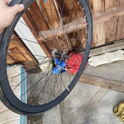 fixie rim