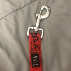 Leash