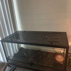 High Quality Luxury Terrarium