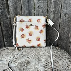 Coach kitt Crossbody Bag 