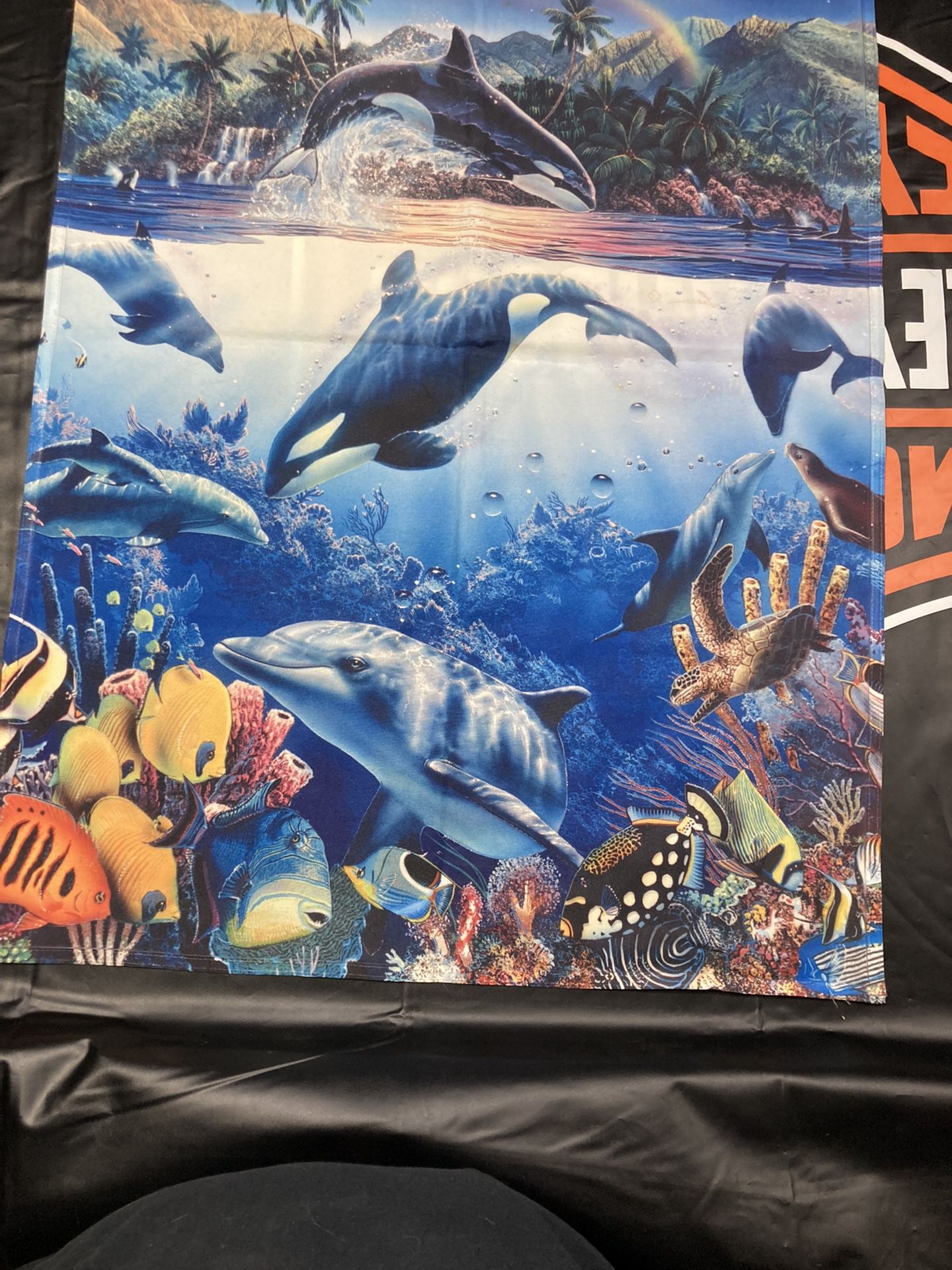 Whale And Dolphin Flag