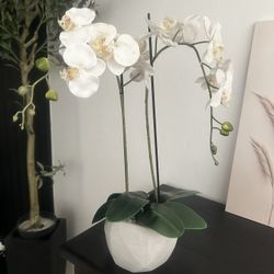 Table Top Floral Vase 