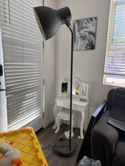 Lamp (6 ft)