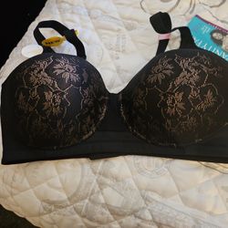 38 D
