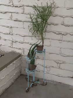 Couple items garden