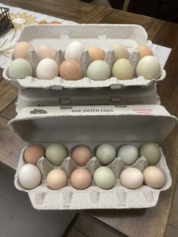 Eggs