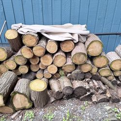 Fresh Cut Firewood Logs – Great for Splitting