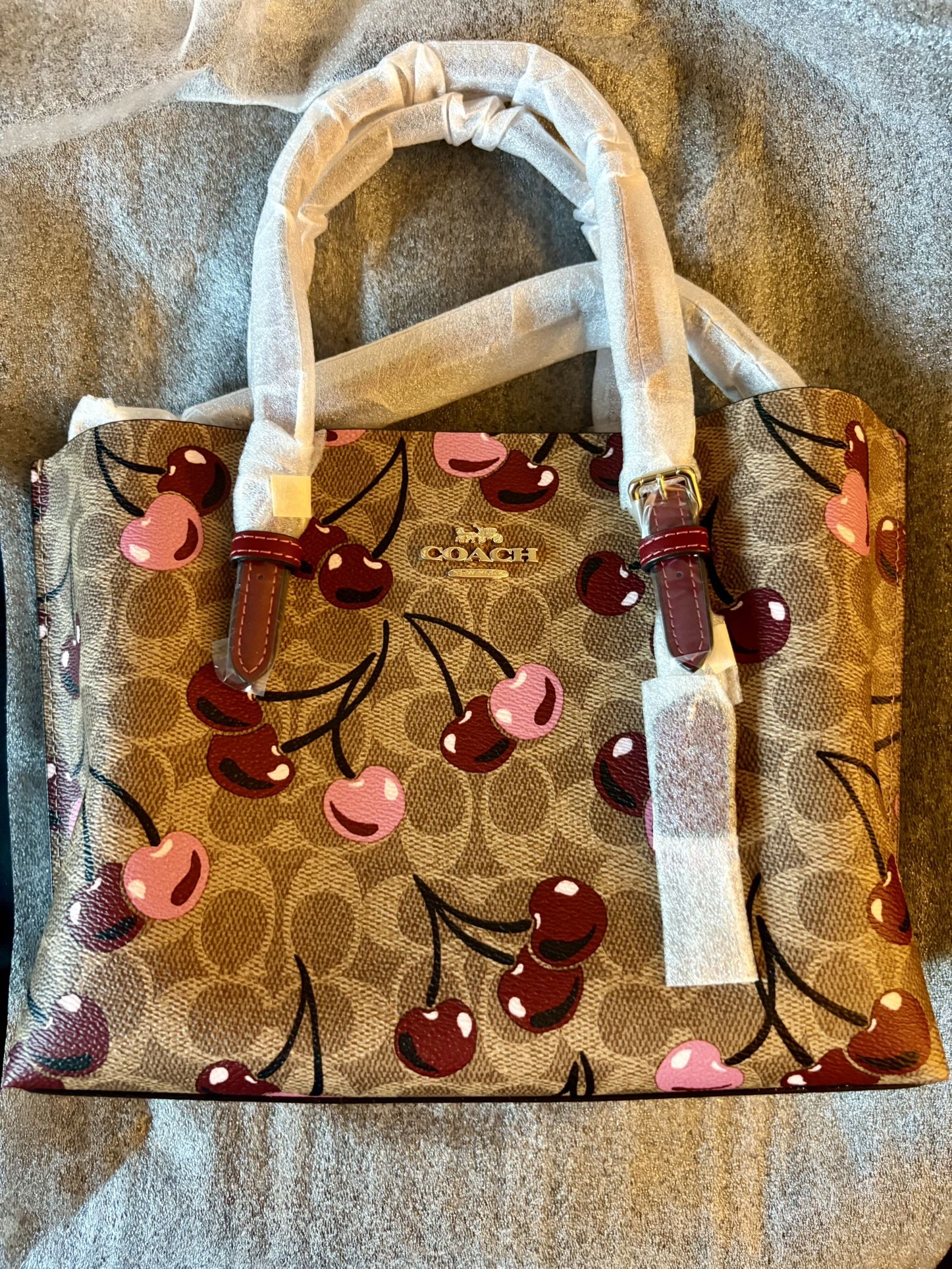 Coach Molly Tote Bag 