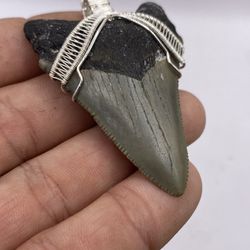 New Shark Tooth Necklace .925 Sterling Silver Megalodon  