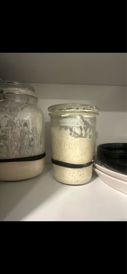 Active Sourdough Starter