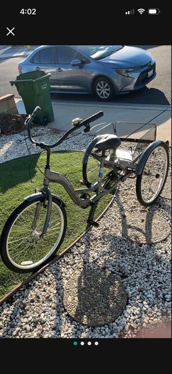 26” Schwinn Adult Tricycle 