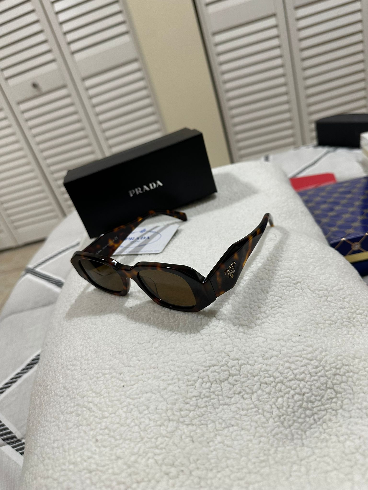 Sunglass