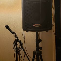 Speaker and Microphone Combo