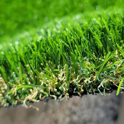 Artificial Grass
