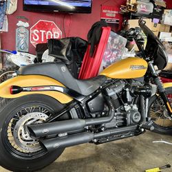 2019 Harley Davidson Streetbob