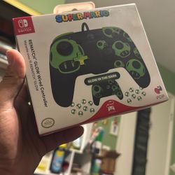 Switch Controller (Glow In The Dark)