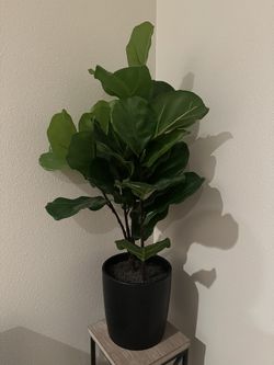 Artificial Plant