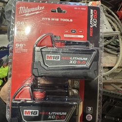 M18 18-Volt Lithium-Ion XC Extended Capacity 5.0 Ah Battery Pack (2-Pack)