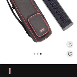 Hohner Airboard READ DESCRIPTION 