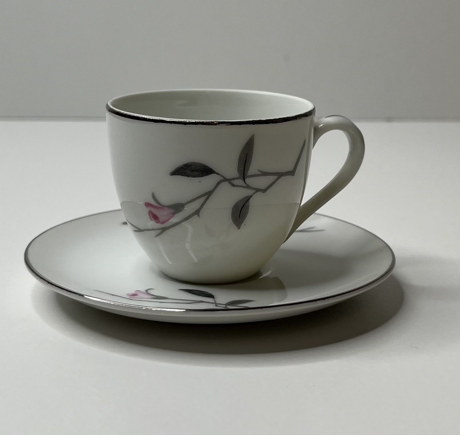 Cherry Blossom Fine China 2 Oz Teacup And Saucer 1067 Japan