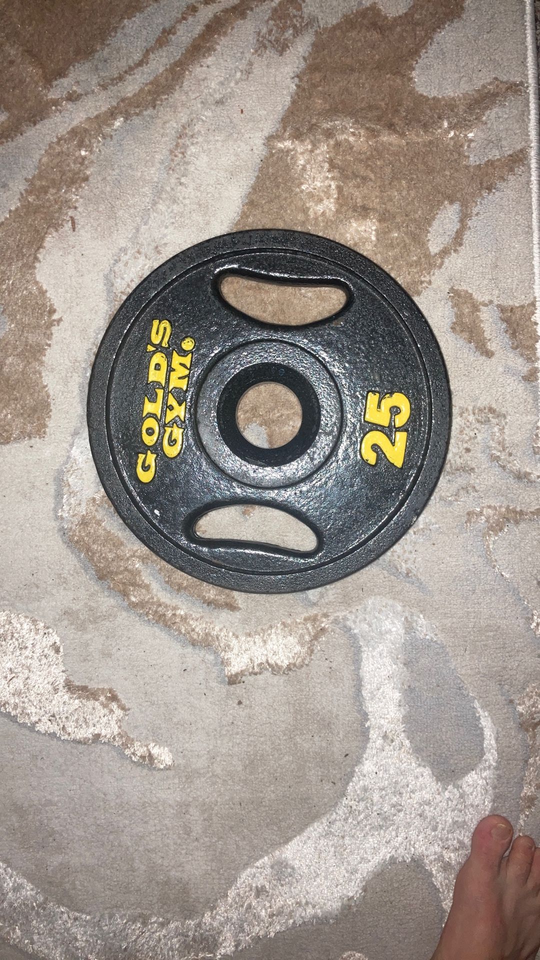 2 Olympic Sized Weight Plates