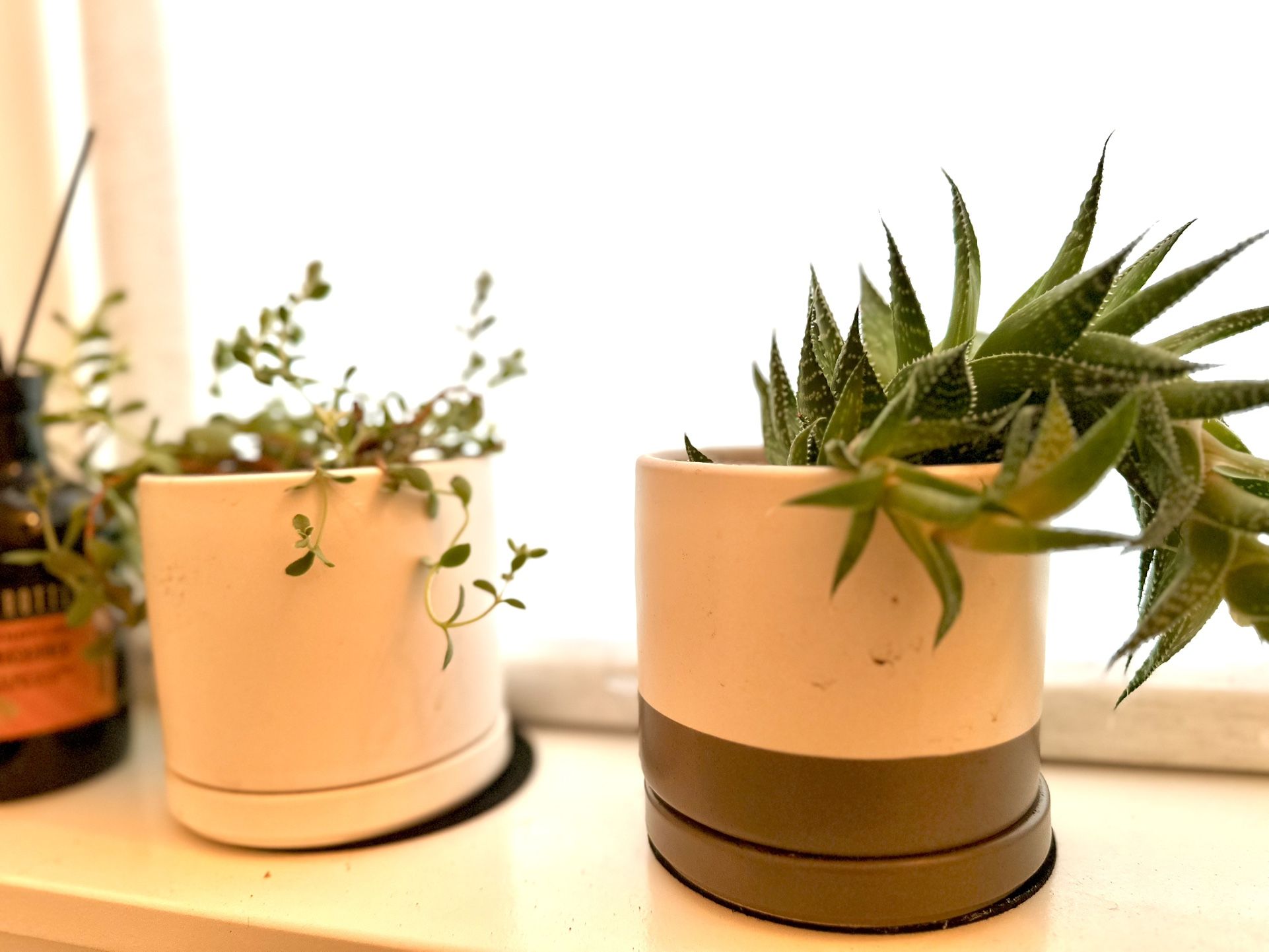 4.6 Inch Ceramic Planter Pot