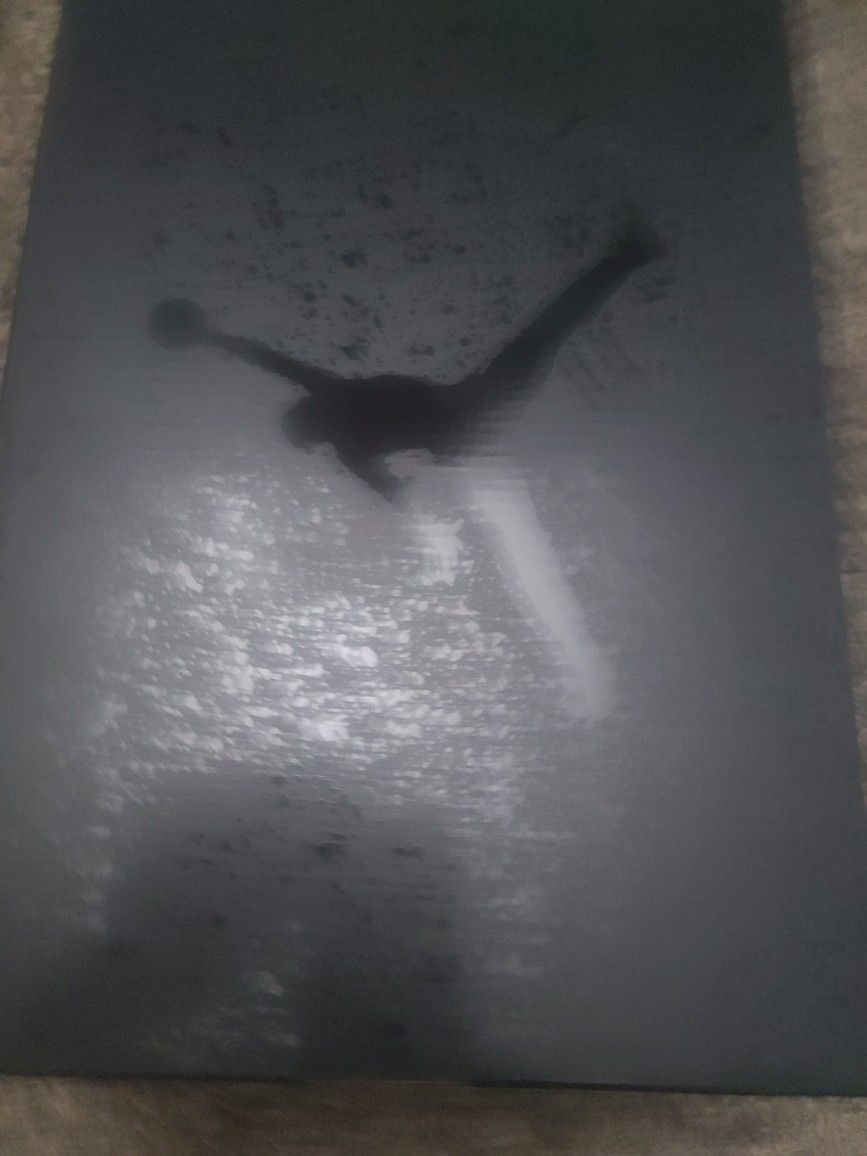 Black Cat 4's Size 12 DS