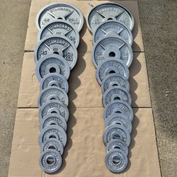 Metal Weight Plates (370 Pounds)
