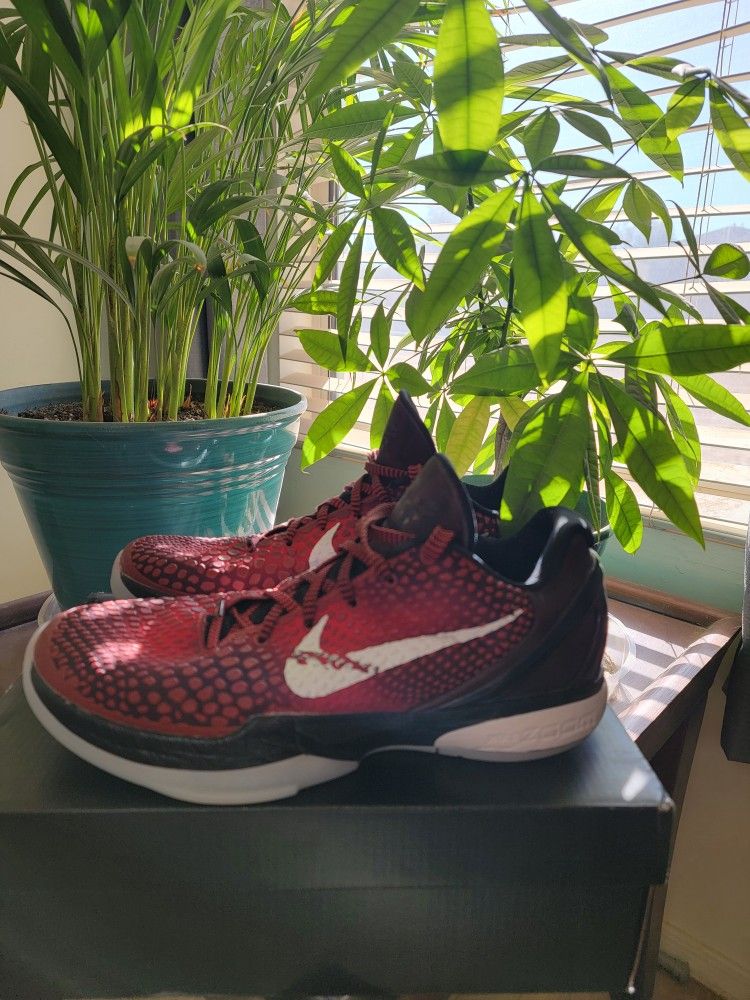 Kobe 6 All Star