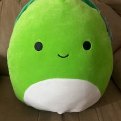 Henry the Squishmallow 