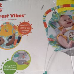 Bright Starts Baby Bouncer 