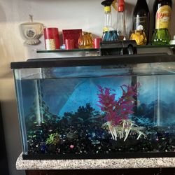 Fish tank 