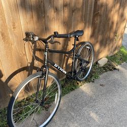 Riverside 100 Bike