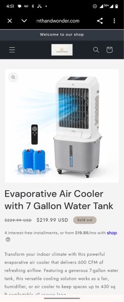 Cooler portable