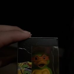 Rubber duck TMNT