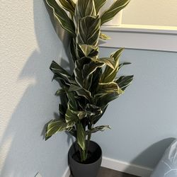Artificial Plant- 48” Height 