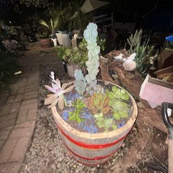 Barrel W Succulents And Misc