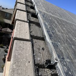 Bird Stop,sintieron Solar Paneles 